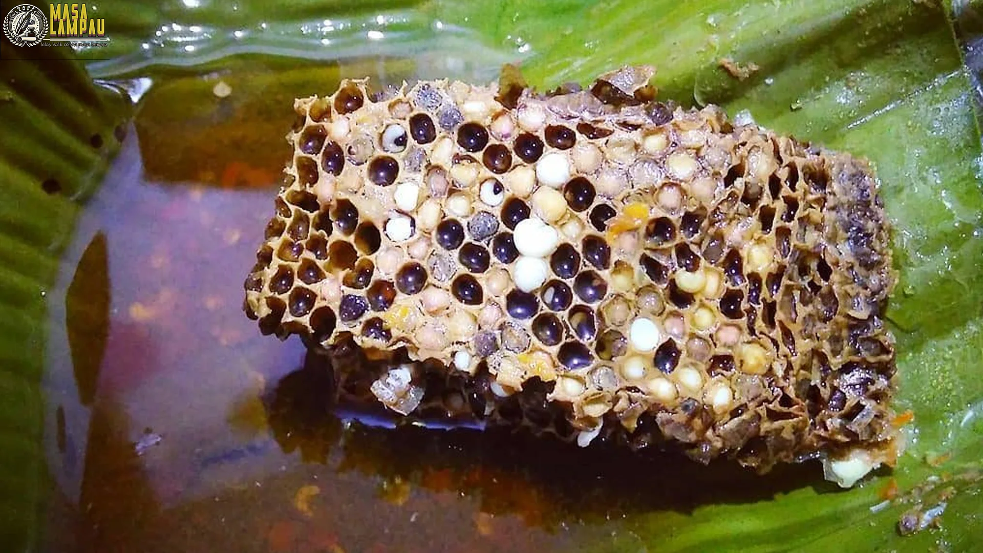 5 Kejutan Sejarah Botok Tawon yang Bisa Jadi Inspirasi Kuliner Kamu